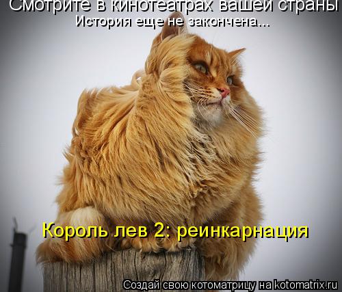 Смотрите в кинотеатрах вашей страны История еще не закончена... Король лев 2: реинкарнация... Котоматрица: Смотрите в кинотеатрах вашей страны История еще не закончена... Король лев 2: реинкарнация