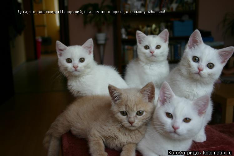 Дети, это наш хозяин Папораций, при нем не говорить, а только улыбаться!... Котоматрица: Дети, это наш хозяин Папораций, при нем не говорить, а только улыбаться!