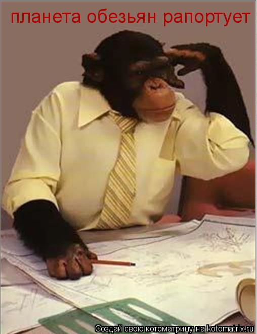 планета обезьян рапортует... Котоматрица: планета обезьян рапортует