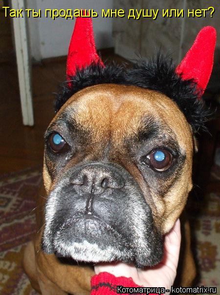 Так ты продашь мне душу или нет?... Котоматрица: Так ты продашь мне душу или нет?