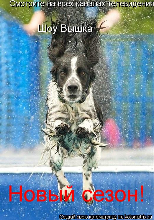 Смотрите на всех каналах телевидения Шоу Вышка Новый сезон!... Котоматрица: Смотрите на всех каналах телевидения Шоу Вышка Новый сезон!