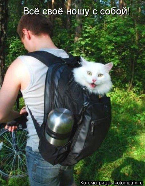 Всё своё ношу с собой!... Котоматрица: Всё своё ношу с собой!