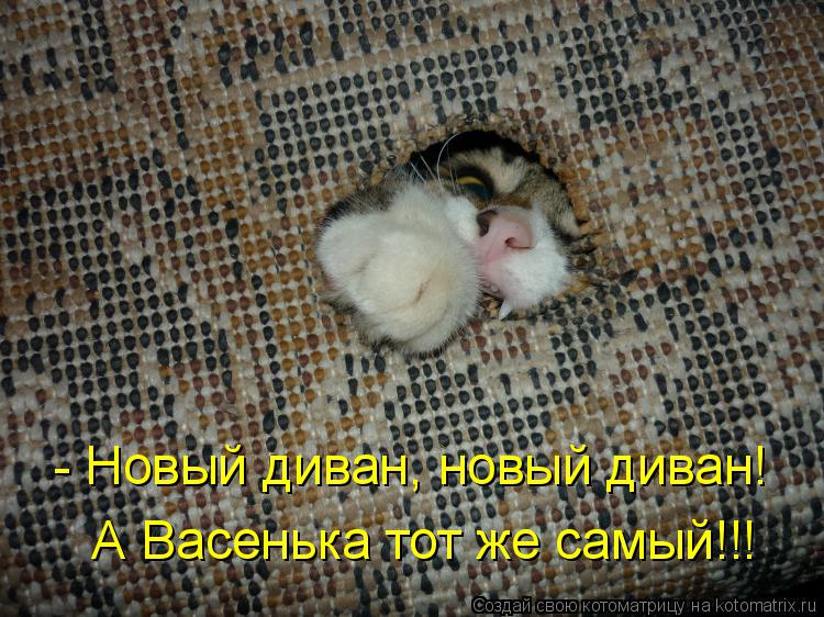 Котоматрица: - Новый диван, новый диван! А Васенька тот же самый!!!