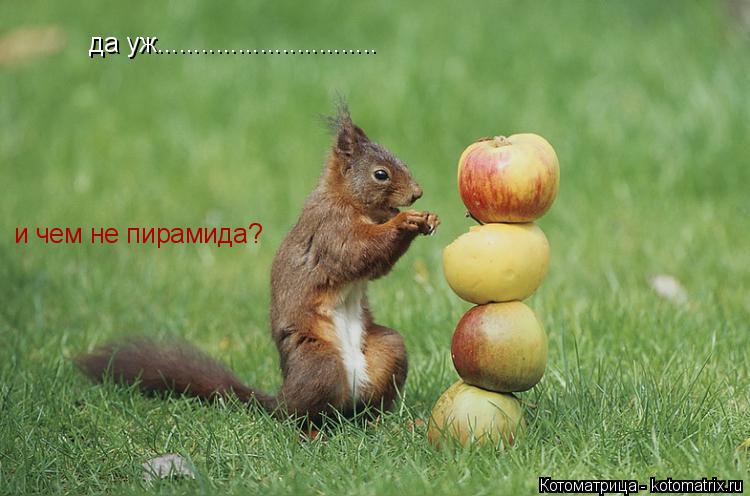 да уж.............................. и чем не пирамида?... Котоматрица: да уж.............................. и чем не пирамида?