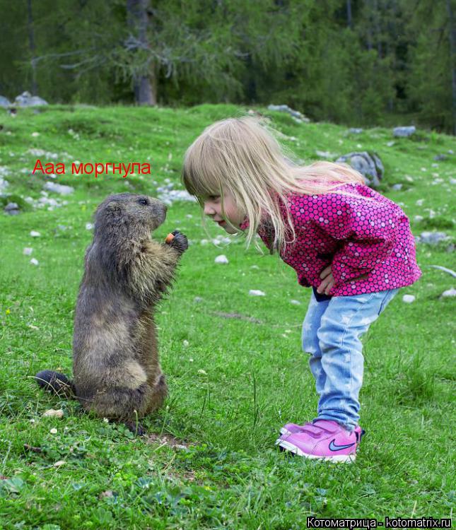 Ааа моргнула... Котоматрица: Ааа моргнула