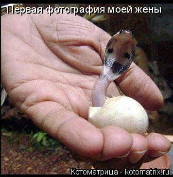 Первая фотография моей жены... Котоматрица: Первая фотография моей жены