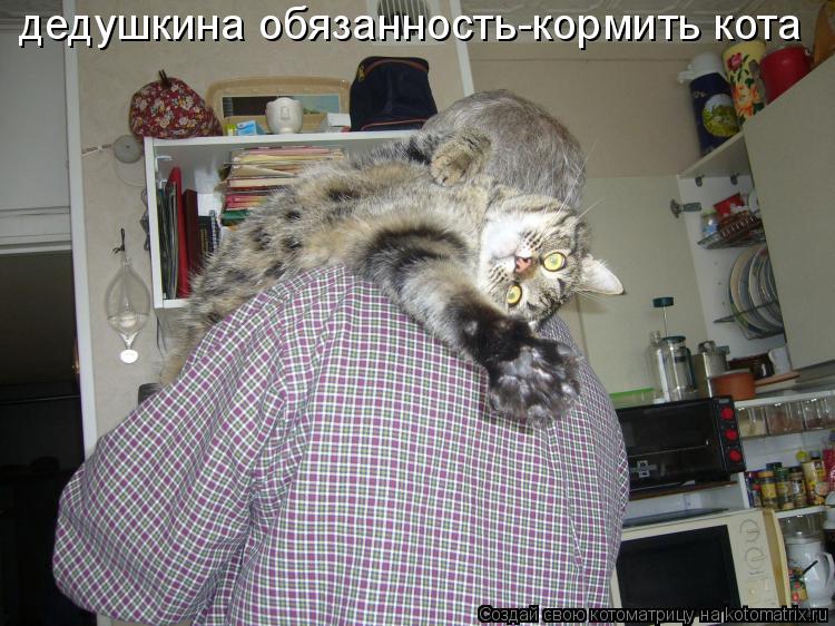 дедушкина обязанность-кормить кота... Котоматрица: дедушкина обязанность-кормить кота