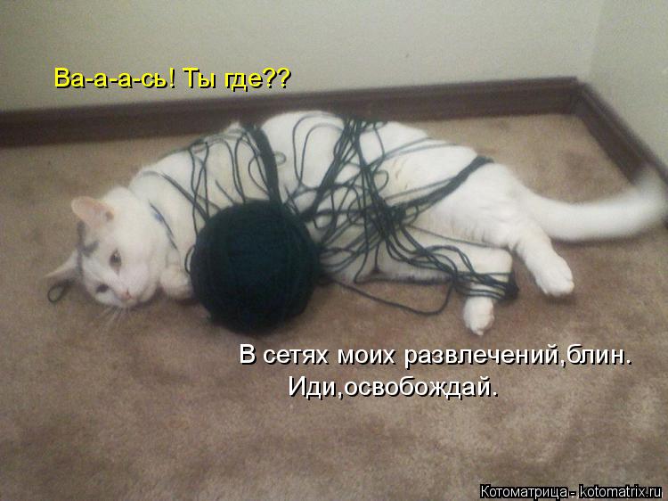 Котоматрица: Ва-а-а-сь! Ты где?? Иди,освобождай. В сетях моих развлечений,блин.