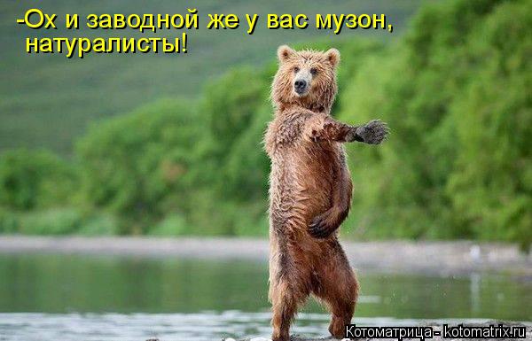 Котоматрица: -Ох и заводной же у вас музон,  натуралисты!