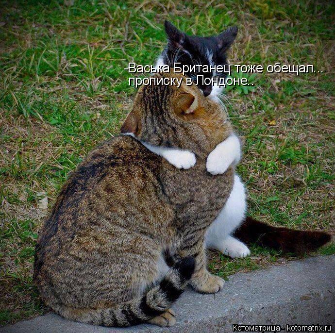 Котоматрица: -Васька Британец тоже обещал... прописку в Лондоне..
