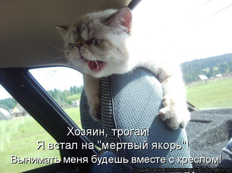 Хозяин, трогай! Я встал на "мертвый якорь"! Вынимать меня будешь вместе с креслом!... Котоматрица: Хозяин, трогай! Я встал на "мертвый якорь"! Вынимать меня будешь вместе с креслом!