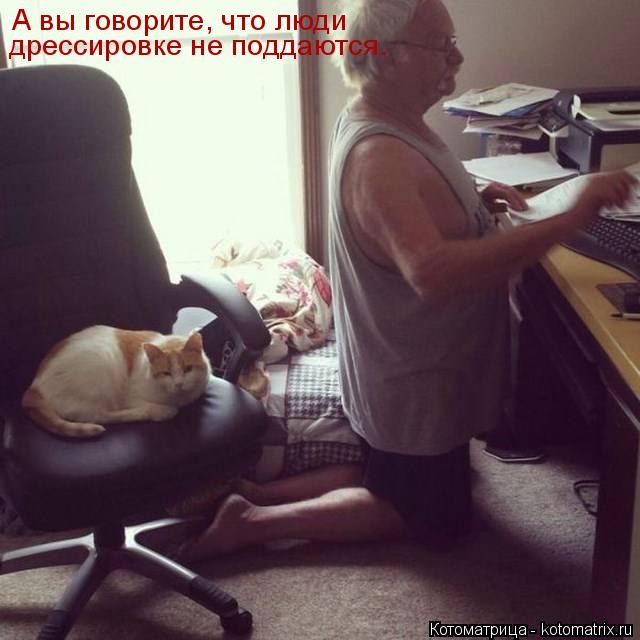 Котоматрица: А вы говорите, что люди дрессировке не поддаются.