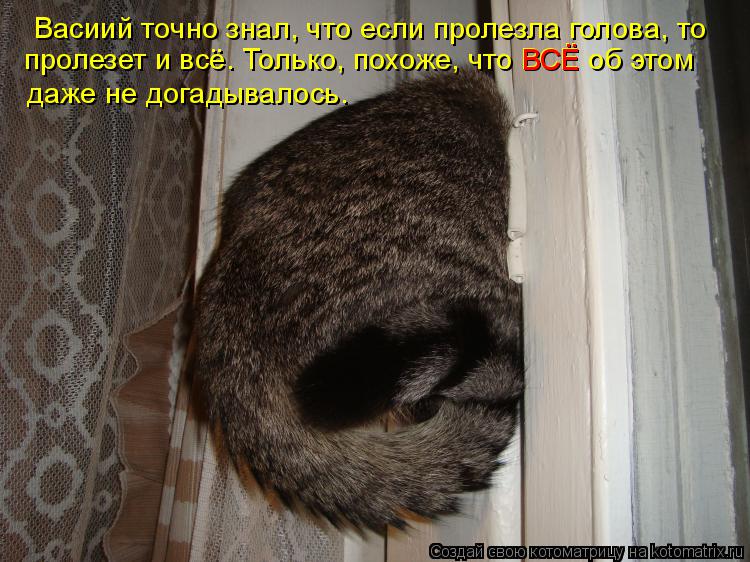 Васиий точно знал, что если пролезла голова, то пролезет и всё. Только, похоже, что ВСЁ об этом даже ... Котоматрица: Васиий точно знал, что если пролезла голова, то пролезет и всё. Только, похоже, что ВСЁ об этом даже не догадывалось. ВСЁ