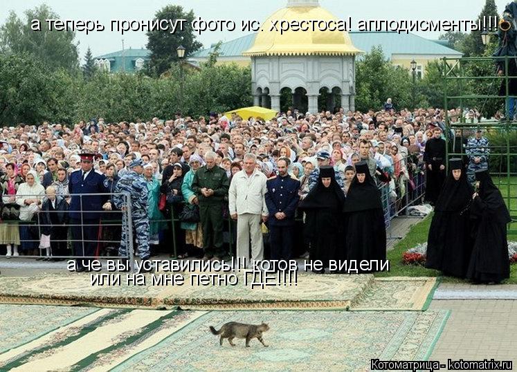 а теперь пронисут фото ис. хрестоса! аплодисменты!!! а че вы уставились!!! котов не видели или на мне... Котоматрица: а теперь пронисут фото ис. хрестоса! аплодисменты!!! а че вы уставились!!! котов не видели или на мне петно ГДЕ!!!!