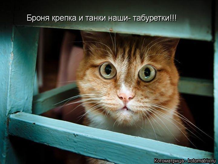 Котоматрица: Броня крепка и танки наши- табуретки!!!