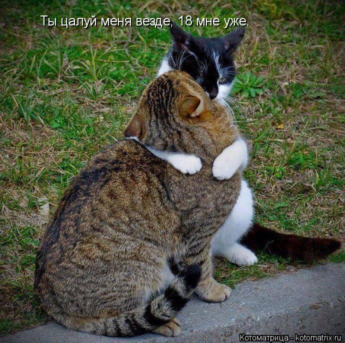 Котоматрица: Ты цалуй меня везде, 18 мне уже.