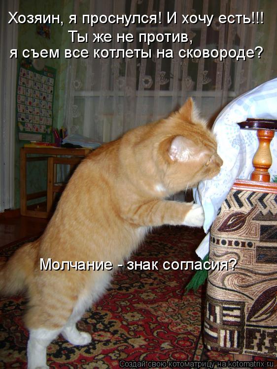 Хозяин, я проснулся! И хочу есть!!! Ты же не против, я съем все котлеты на сковороде? Молчание - зна... Котоматрица: Хозяин, я проснулся! И хочу есть!!! Ты же не против, я съем все котлеты на сковороде? Молчание - знак согласия?