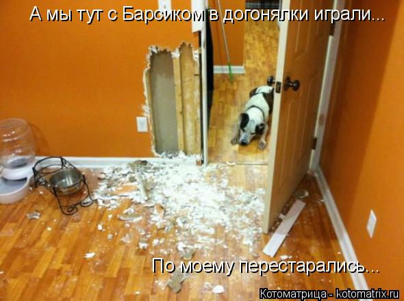 Котоматрица: А мы тут с Барсиком в догонялки играли... По моему перестарались...