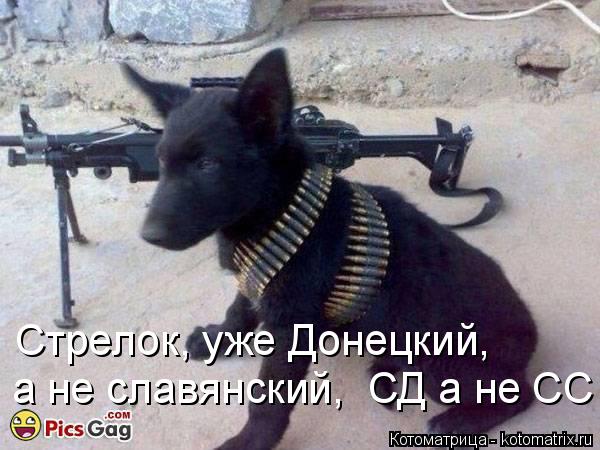 Стрелок, уже Донецкий, а не славянский, СД а не СС... Котоматрица: Стрелок, уже Донецкий, а не славянский, СД а не СС