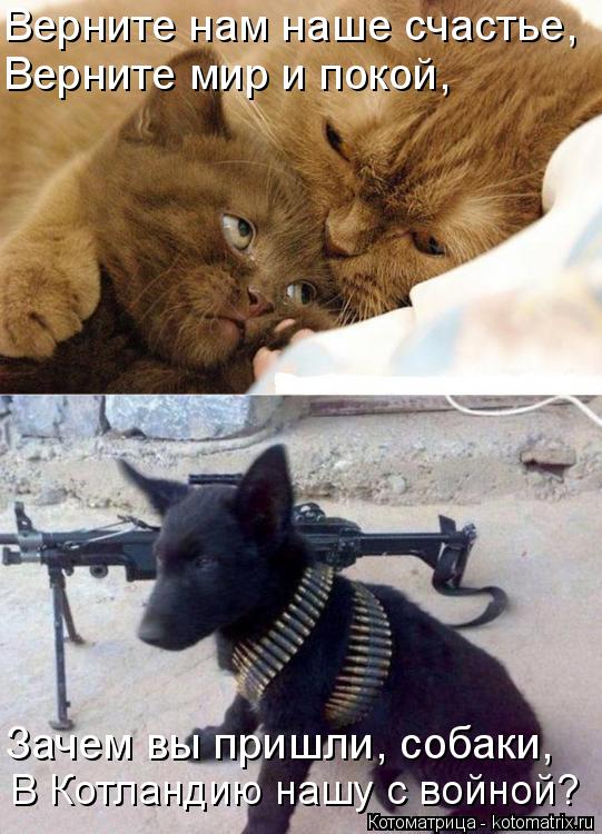 Верните нам наше счастье, Верните мир и покой, Зачем вы пришли, собаки, В Котландию нашу с войной?... Котоматрица: Верните нам наше счастье, Верните мир и покой, Зачем вы пришли, собаки, В Котландию нашу с войной?