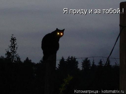 Котоматрица: Я приду и за тобой.! Я приду и за тобой.!