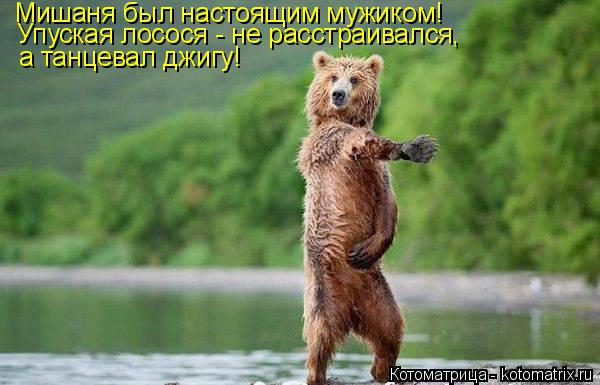 Котоматрица: Мишаня был настоящим мужиком! Упуская лосося - не расстраивался, а танцевал джигу!