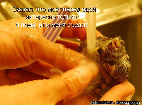 Сказал, что моет перед едой, интересно только: я поем, или меня съедят.... Котоматрица: Сказал, что моет перед едой, интересно только: я поем, или меня съедят.