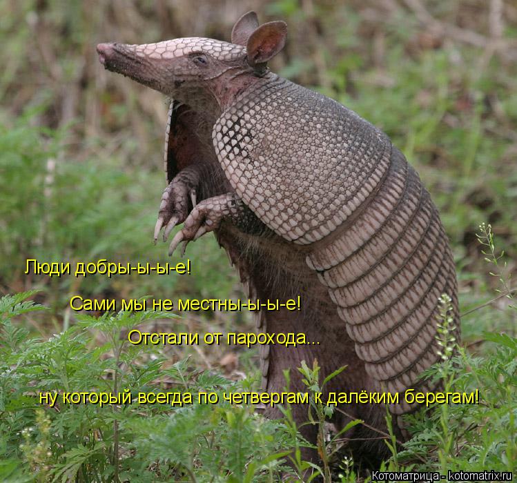 Люди добры-ы-ы-е! Сами мы не местны-ы-ы-е! Отстали от парохода... ну который всегда по четвергам к да... Котоматрица: Люди добры-ы-ы-е! Сами мы не местны-ы-ы-е! Отстали от парохода... ну который всегда по четвергам к далёким берегам!