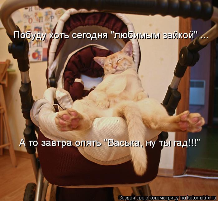 Побуду хоть сегодня "любимым зайкой" ... А то завтра опять "Васька, ну ты гад!!!"... Котоматрица: Побуду хоть сегодня "любимым зайкой" ... А то завтра опять "Васька, ну ты гад!!!"