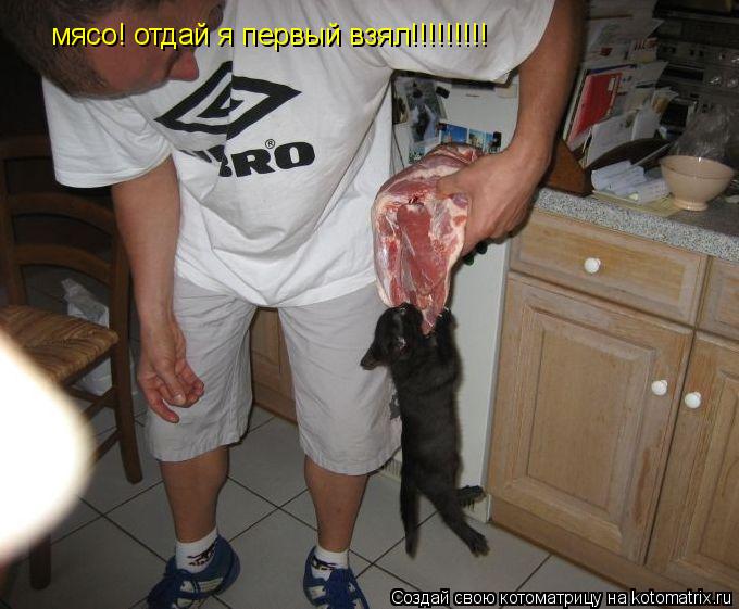 мясо! отдай я первый взял!!!!!!!!!... Котоматрица: мясо! отдай я первый взял!!!!!!!!!