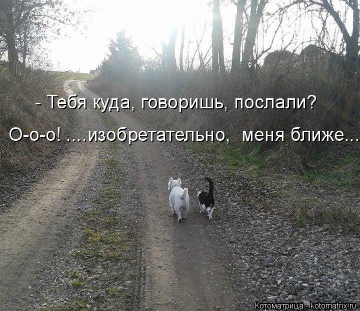 - Тебя куда, говоришь, послали? О-о-о! ....изобретательно, меня ближе...... Котоматрица: - Тебя куда, говоришь, послали? О-о-о! ....изобретательно, меня ближе...