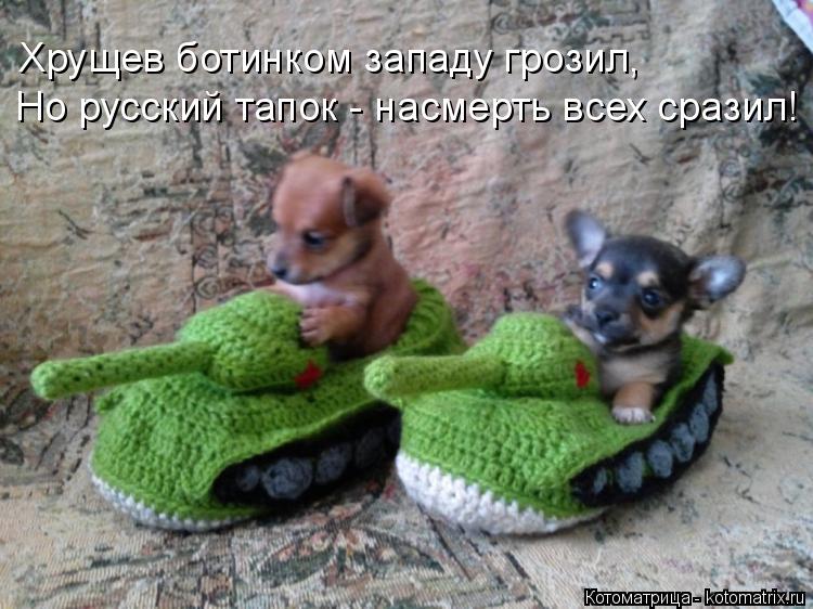 Хрущев ботинком западу грозил, Но русский тапок - насмерть всех сразил!... Котоматрица: Хрущев ботинком западу грозил, Но русский тапок - насмерть всех сразил!