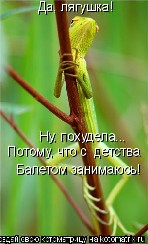 Ну, похудела... Балетом занимаюсь! Да, лягушка! Потому, что с детства... Котоматрица: Ну, похудела... Балетом занимаюсь! Да, лягушка! Потому, что с детства