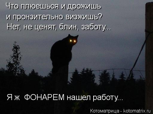 Что плюешься и дрожишь и пронзительно визжишь? Нет, не ценят, блин, заботу... Я ж ФОНАРЕМ нашел рабо... Котоматрица: Что плюешься и дрожишь и пронзительно визжишь? Нет, не ценят, блин, заботу... Я ж ФОНАРЕМ нашел работу...