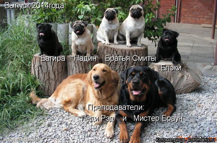 Выпуск 2014года Багира Надин Братья Смиты Блэки Преподаватели: Леди Рэд и Мистер Браун... Котоматрица: Выпуск 2014года Багира Надин Братья Смиты Блэки Преподаватели: Леди Рэд и Мистер Браун