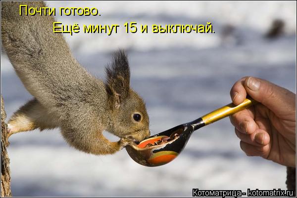 Почти готово. Ещё минут 15 и выключай.... Котоматрица: Почти готово. Ещё минут 15 и выключай.