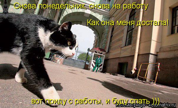 Снова понедельник, снова на работу Как она меня достала! вот приду с работы, и буду спать )))... Котоматрица: Снова понедельник, снова на работу Как она меня достала! вот приду с работы, и буду спать )))