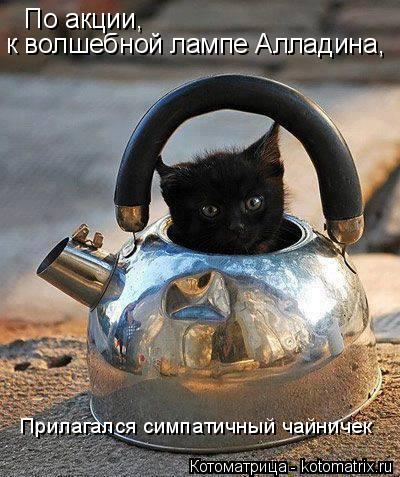 По акции, к волшебной лампе Алладина, Прилагался симпатичный чайничек... Котоматрица: По акции, к волшебной лампе Алладина, Прилагался симпатичный чайничек