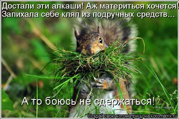 Достали эти алкаши! Аж материться хочется! Запихала себе кляп из подручных средств... А то боюсь не с... Котоматрица: Достали эти алкаши! Аж материться хочется! Запихала себе кляп из подручных средств... А то боюсь не сдержаться!