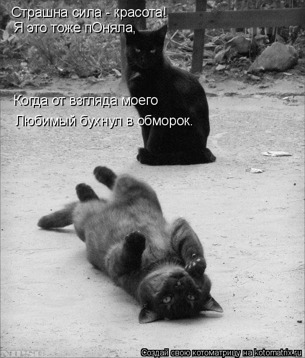 Когда от взгляда моего Любимый бухнул в обморок. Страшна сила - красота! Я это тоже пОняла,... Котоматрица: Когда от взгляда моего Любимый бухнул в обморок. Страшна сила - красота! Я это тоже пОняла,