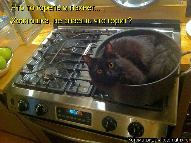 Что то горелым пахнет..... Хозяюшка, не знаешь что горит?... Котоматрица: Что то горелым пахнет..... Хозяюшка, не знаешь что горит?