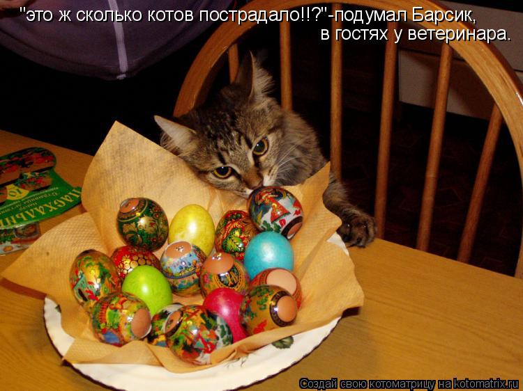 "это ж сколько котов пострадало!!?"-подумал Барсик, в гостях у ветеринара.... Котоматрица: "это ж сколько котов пострадало!!?"-подумал Барсик, в гостях у ветеринара.