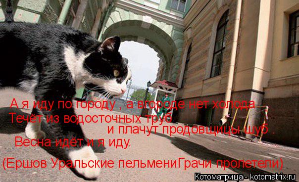 А я иду по городу , а вгороде нет холода Течёт из водосточных труб и плачут продовщицы шуб . Весна и... Котоматрица: А я иду по городу , а вгороде нет холода Течёт из водосточных труб и плачут продовщицы шуб . Весна идёт и я иду. (Ершов Уральские пельмениГрач