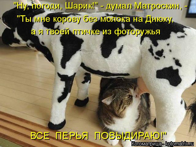 ВСЕ ПЕРЬЯ ПОВЫДИРАЮ!" "Ты мне корову без молока на Днюху, "Ну, погоди, Шарик!" - думал Матроскин, -... Котоматрица: ВСЕ ПЕРЬЯ ПОВЫДИРАЮ!" "Ты мне корову без молока на Днюху, "Ну, погоди, Шарик!" - думал Матроскин, - а я твоей птичке из фоторужья