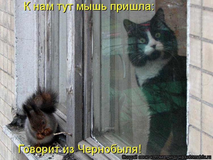 К нам тут мышь пришла: Говорит из Чернобыля!... Котоматрица: К нам тут мышь пришла: Говорит из Чернобыля!