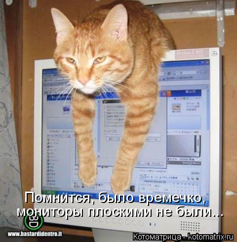 Помнится, было времечко, мониторы плоскими не были...... Котоматрица: Помнится, было времечко, мониторы плоскими не были...