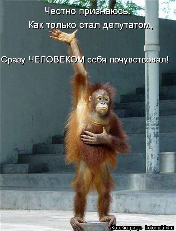 Как только стал депутатом, Честно признаюсь: Сразу ЧЕЛОВЕКОМ себя почувствовал!... Котоматрица: Как только стал депутатом, Честно признаюсь: Сразу ЧЕЛОВЕКОМ себя почувствовал!