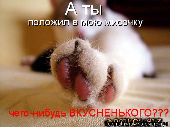 А ты положил в мою мисочку чего-нибудь ВКУСНЕНЬКОГО??? чего-нибудь ВКУСНЕНЬКОГО???... Котоматрица: А ты положил в мою мисочку чего-нибудь ВКУСНЕНЬКОГО??? чего-нибудь ВКУСНЕНЬКОГО???