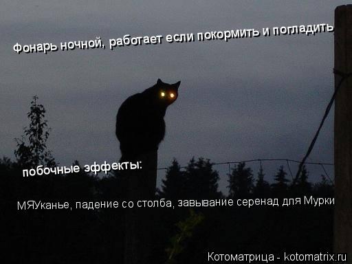 Фонарь ночной, работает если покормить и погладить побочные эффекты: МЯУканье, падение со столба, зав... Котоматрица: Фонарь ночной, работает если покормить и погладить побочные эффекты: МЯУканье, падение со столба, завывание серенад для Мурки