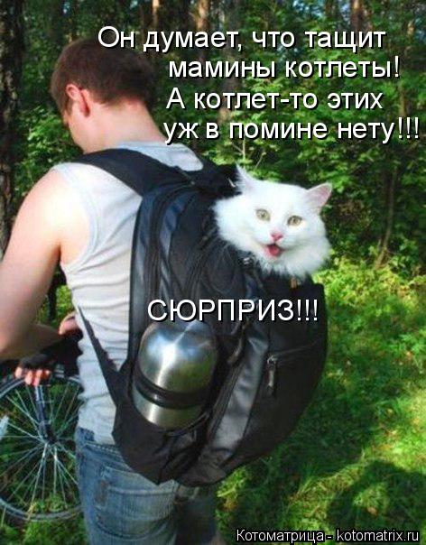 мамины котлеты! Он думает, что тащит А котлет-то этих уж в помине нету!!! СЮРПРИЗ!!!... Котоматрица: мамины котлеты! Он думает, что тащит А котлет-то этих уж в помине нету!!! СЮРПРИЗ!!!
